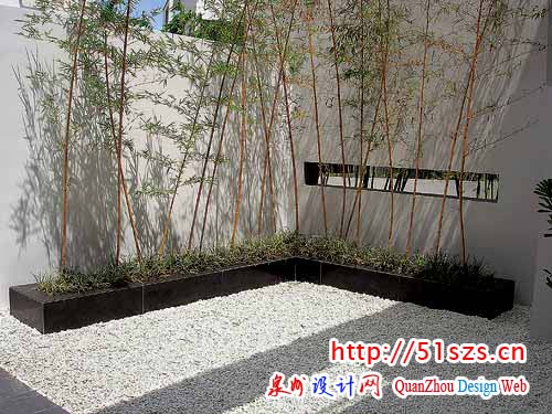 黑、白色的运用